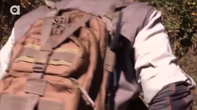 ТОП 7 ЖИВОТНЫХ УБИВШИХ СВОИХ ДРЕССИРОВЩИКОВ / ДИКИЕ ЖИВОТНЫЕ - ЗВЕРИ / X-Planet Channel / 2017 смотреть онлайн