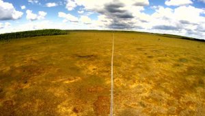 Улетай на крыльях ветра. Аккорды и текст. Старосельский мох с высоты птичьего полета.