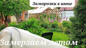 Холодное лето.Обещали заморозки.Как прошла ночь..ВСЕ В СТРЕССЕ.Обход сада-огорода 4 июня 2023 .
