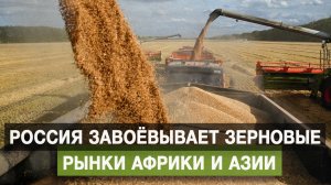 Россия завоёвывает зерновые рынки Африки и Азии