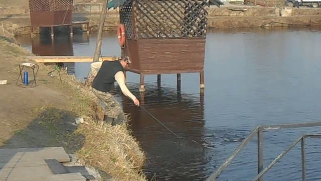 16.04.2018 на Форелевых водоёмах рыбхоза Гжелка смотреть онлайн