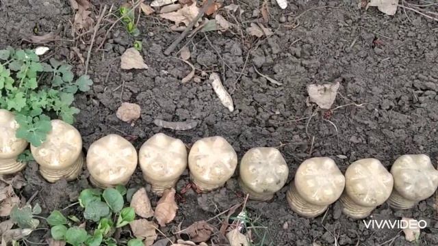 4 идеи для ограждения клумб из подручных средств своими руками смотреть онлайн