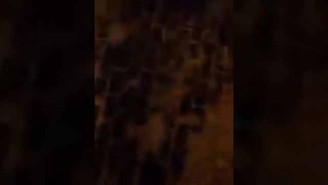 Двойной трамвай 30 едет от станции метро Войковской в район Коптево в Михалково смотреть онлайн