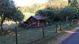 Что делать,если случайно проглотили   острую ?косточку от абрикоса,сливы и т.д.?