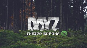 Dayz - мое первое знакомство