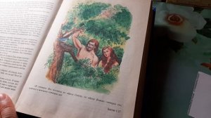 Детская Библия - История первых людей