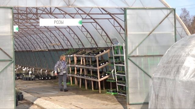 Один день из жизни Садового центра Рождествено смотреть онлайн