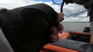 Ловля судака на крупный силикон.