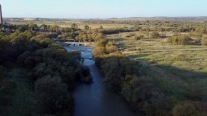 Уссурийск 2019 - Тимирязевка - Ветер гуляющий по полю...