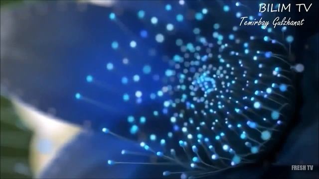 +ӘЖЕМ АЙТҚАН ЕРТЕГІ/КАРАОКЕ/ӘЖЕ ТУРАЛЫ ӘН/8 НАУРЫЗҒА АРНАЛҒАН ӘНДЕР смотреть онлайн