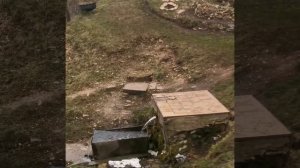 Буреги, новгородская область Воскресенский собор