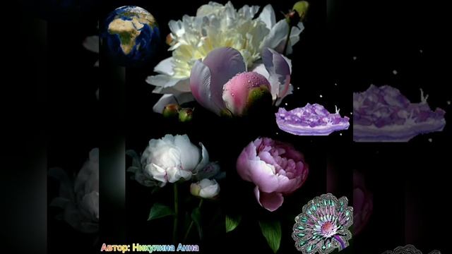 Медитация-визуализация "Царство пионов" смотреть онлайн