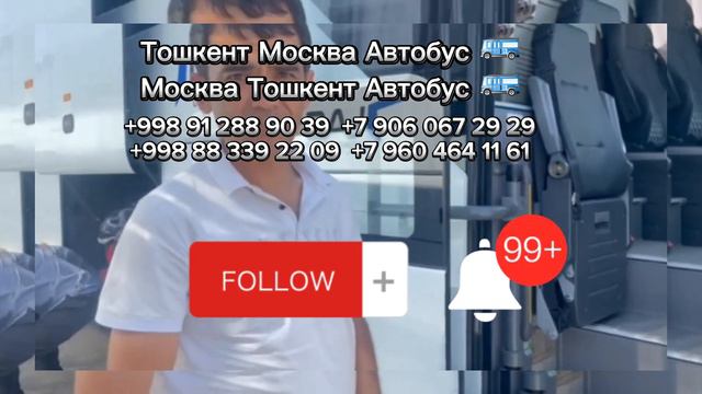 #Тошкент#Новосибирск#Автобус#Тошкент#краснодар#Автобус#+998912889039#+79060672929#+79604641161#рек# смотреть онлайн