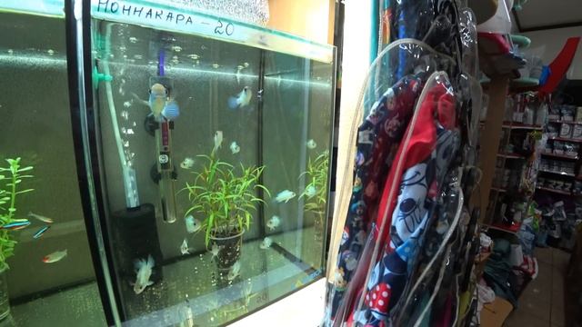 КРОХОТНАЯ ПОСЫЛКА!!! смотреть онлайн