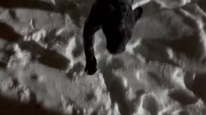 Вечерние игры с Ягуаром Наоми