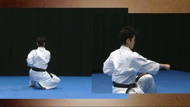 Kata Karate Kyokushinkai ( Ката Карате Киокушинкай ) часть 2