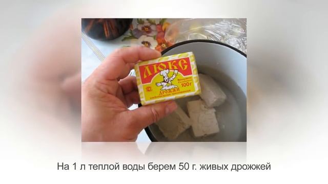 ЦВЕТЫ будут расти, как на ДРОЖЖАХ! ДРОЖЖЕВАЯ подкормка для комнатных растений смотреть онлайн