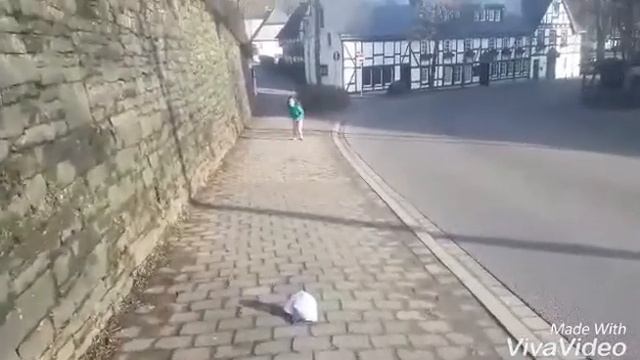 Сахарии шахрчаи Эслоэ/Утро городка Эслоэ смотреть онлайн