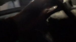 Вибрация при движении на Pajero