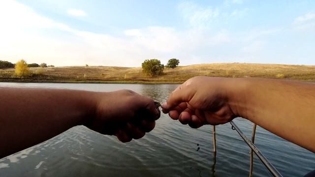 КАК Я ЛОВЛЮ ЖИВЦА Для РЫБАЛКИ На КРУЖКИ! (ЛЕТНИЕ ЖЕРЛИЦЫ) РЫБАЛКА 2020 смотреть онлайн