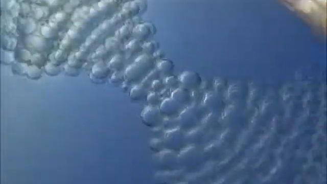 Тамада ведущий ВОЛГОГРАД 89880143418 (ПОЕМ ЖИВЬЕМ) смотреть онлайн