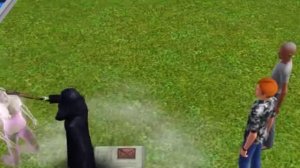 Every Way To Kill Sims In Sims 3 WalkThrough