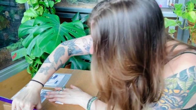 Josh’s Frogs Green Tree Python Supplies Unboxing!!