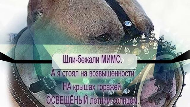 Мой первый рассказ. СОН мой СОН. смотреть онлайн