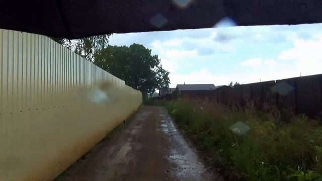 МОЯ дорога в Лавру. Четвертый  день пути. Одна в лесу. Проливные дожди.