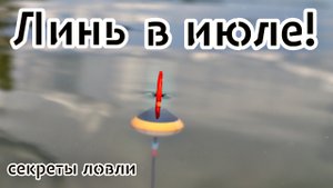Линь будет топить поплавок каждые 5 минут! Узнай секреты ловли линя летом.