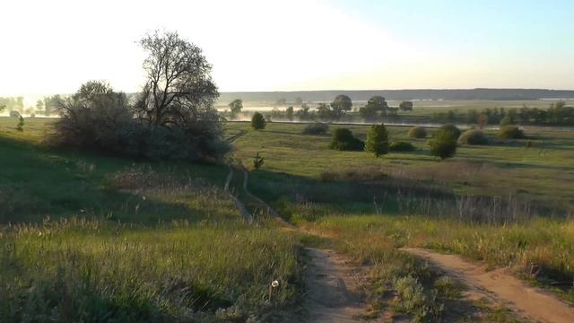КРАСОТА УКРАИНЫ 🇺🇦 Слобожанщина | Лесостепь Украины