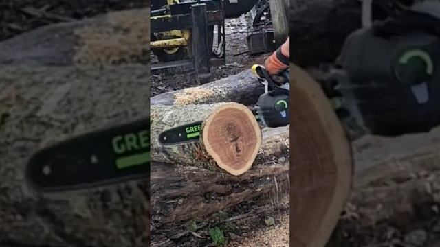 82CS24 vs 11 inch oak. Greenworks Commercial 82v battery chainsaw. The lightest heavyweight 13 lbs