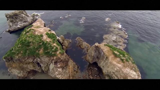 МАСТЕРА ГОСТЕПРИИМСТВА#СЕРГЕЙ КАРАСЬ#САХАЛИН РЯДОМ