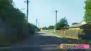 МАРК АВРЕЛИЙ из книги Наедине с собой СТОИЦИЗМ афоризмы БЫТЬ счастливым а не казаться
