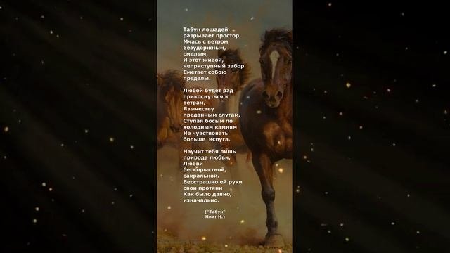 #поэзия#стихи#наталиният