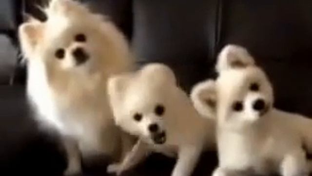 Ты кто такой? / Who are you? смотреть онлайн