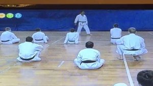 Master Masao Kawasoe (JKA), Vladislav Eloyan. Russia 2016. RTKF ( JKA Member) Course .