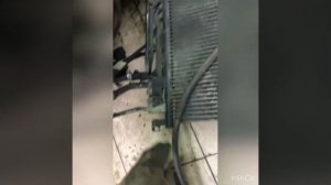 Ауди а8(в кузове д3)мотор 4,2(350 л.с)