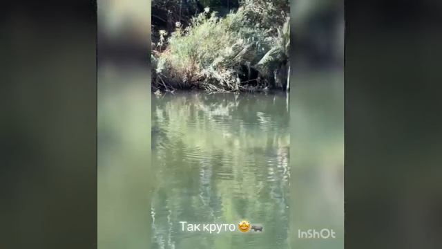 Африка 🌍🐒😍/ Какие виды 🌊 / Instagram stories 💛