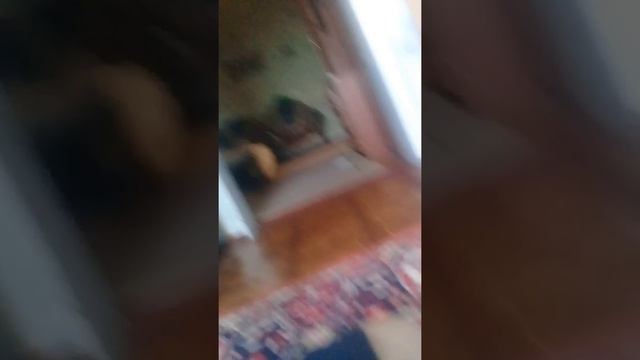 Показывают свой ролик какой вышел на канале и всё-таки ролики смотреть онлайн