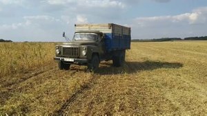 Начало Уборка СОИ Комбайн НИВА СК-5 и ГАЗ 53 ?Молдова 2019