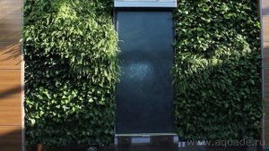 Аквадизайн 2022