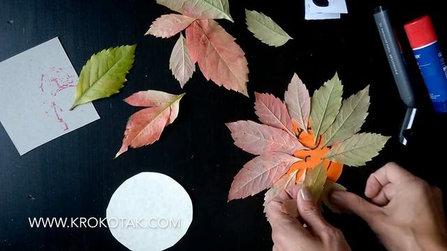 FALL FLOWERS смотреть онлайн