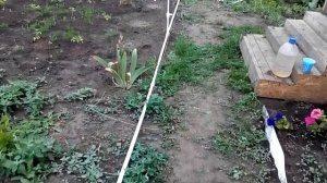 системы полива на дачном участке