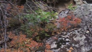 ГОРА МОХНАТАЯ Алтайского района - Уникальные Мегалиты Алтая или же Богатая Фантазия?