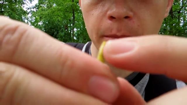 Пищалка из акации. Лучшее развлечение Петербурга. смотреть онлайн