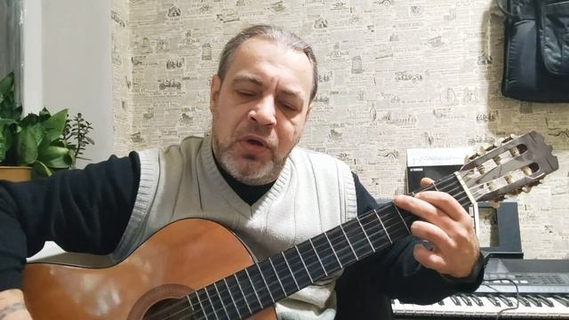 Шилохвость