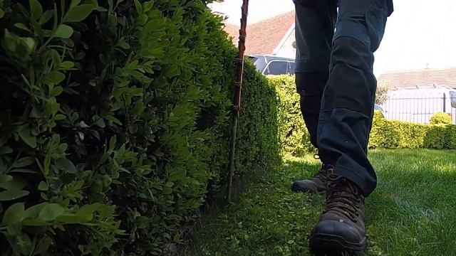 Hedge Trimming, small Box / Buxus hedge смотреть онлайн