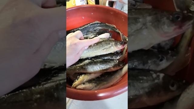 Свежая, жареная навага это очень вкусно! Кто пробовал, тот знает ???