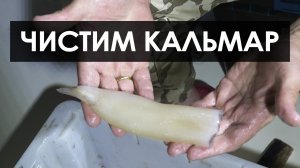 Как почистить кальмара